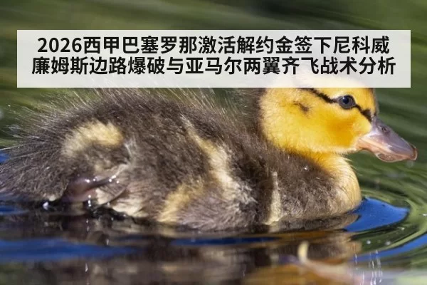 2026西甲巴塞罗那激活解约金签下尼科威廉姆斯边路爆破与亚马尔两翼齐飞战术分析