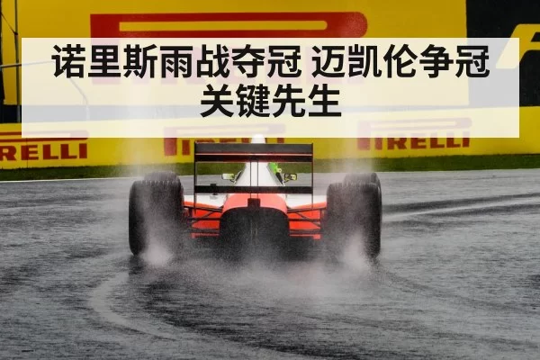 诺里斯雨战夺冠 迈凯伦争冠关键先生